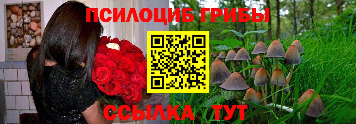 Надым  Галлюциногенные грибы прущие грибы  Вход с VPN 