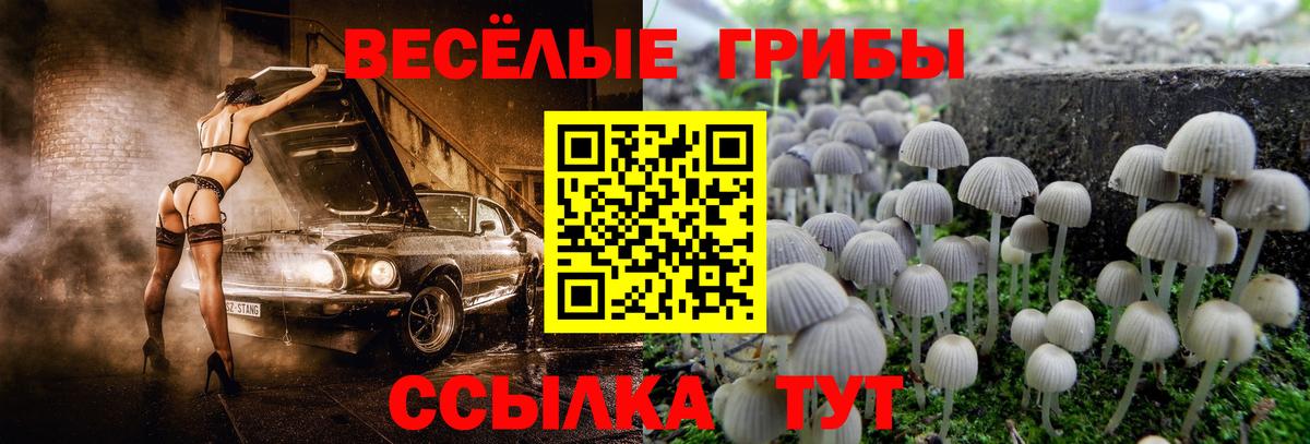 Псилоцибиновые грибы ЛСД Надым