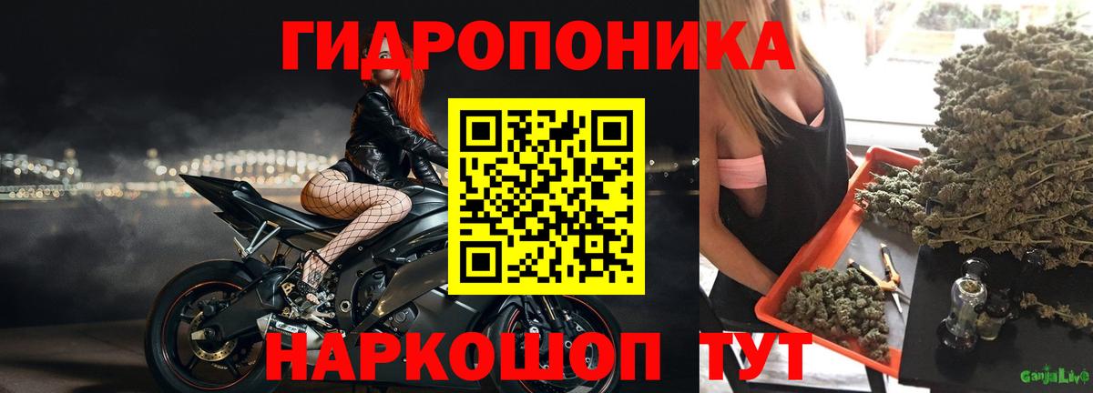 Бошки марихуана гибрид Надым